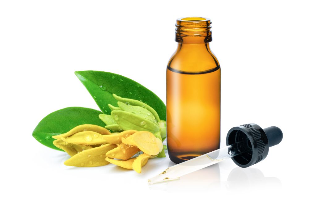 ylang ylang essential oil for hair