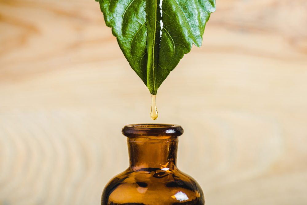 Ingredient Spotlight Copaiba Plant Guru