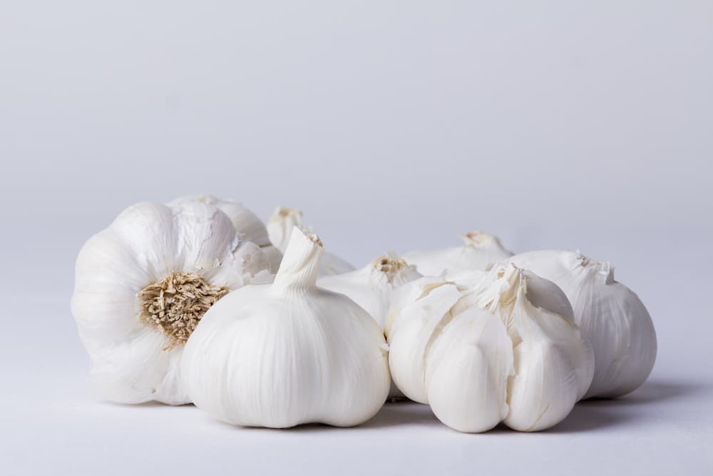 Garlic Allium Sativum