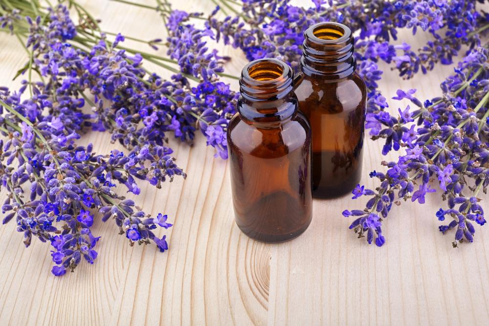 Lavender Vs. Tea Tree Oil: Which One Should You Use?