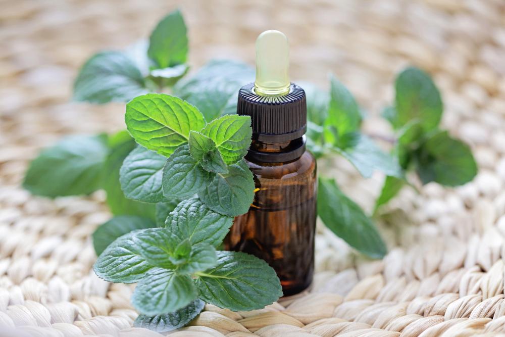 Peppermint Oil For Sleep: How It Can Help