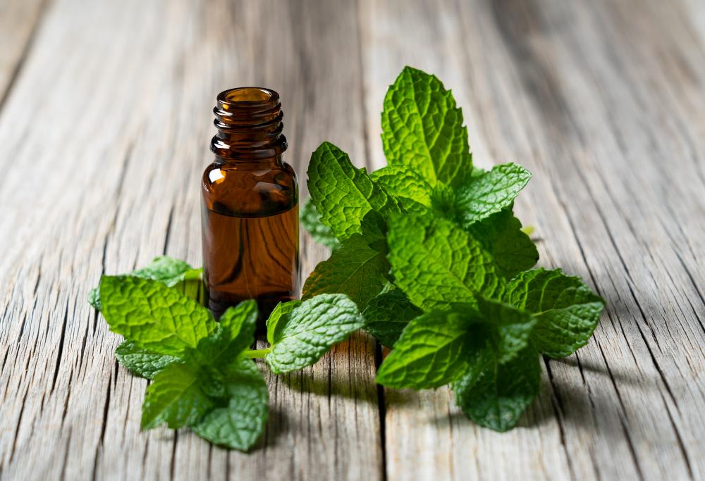 Spearmint Oil Vs. Peppermint Oil