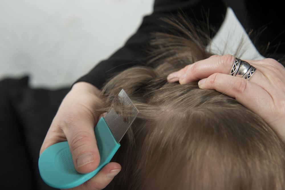 tea tree oil for head lice prevention