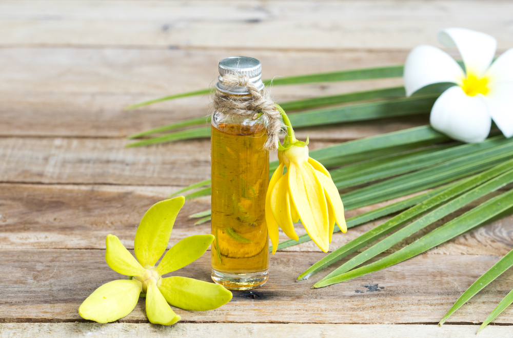 ylang-ylang essential oil benefits