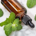 Top Cornmint Oil Uses You Should Know