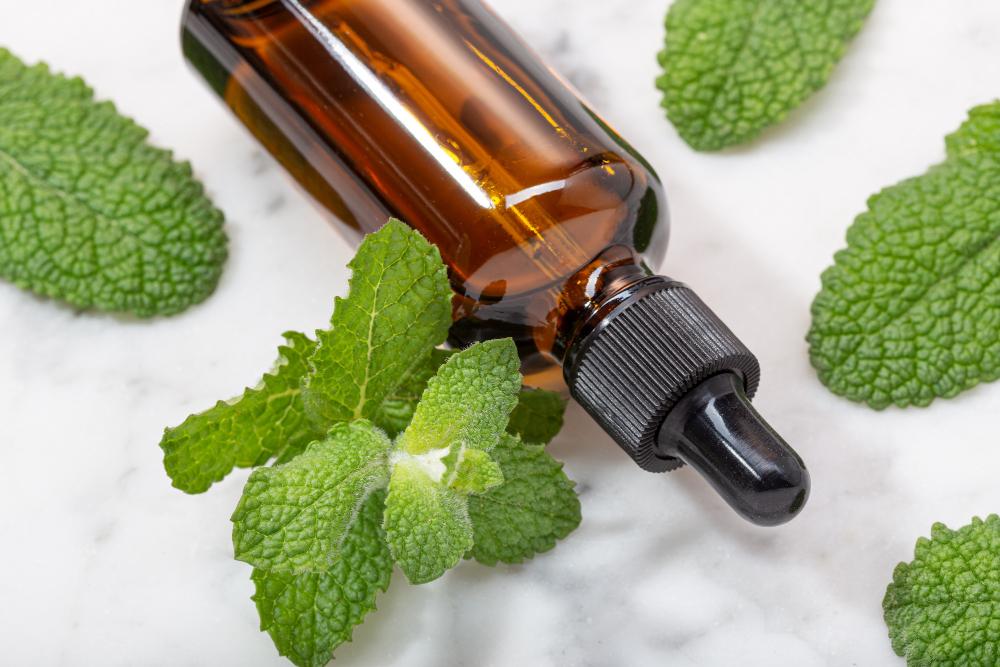 Top Cornmint Oil Uses You Should Know