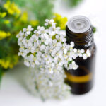 Top Eight Yarrow Essential Oil Recipes To Try