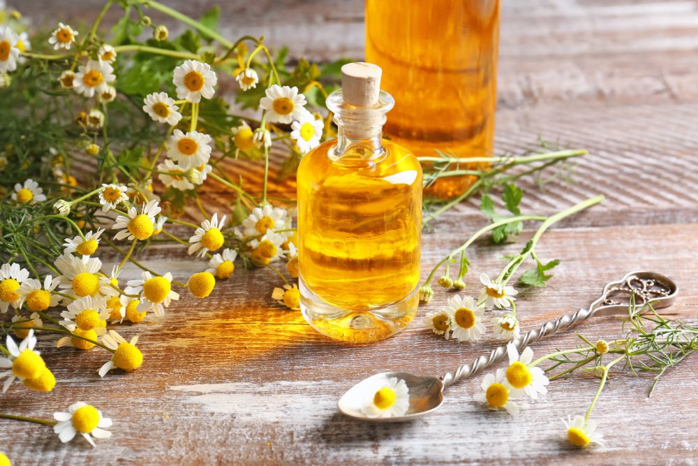 Chamomile Essential Oils