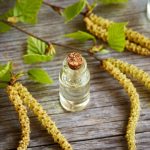 Unlocking The Benefits Of Birch Essential Oil
