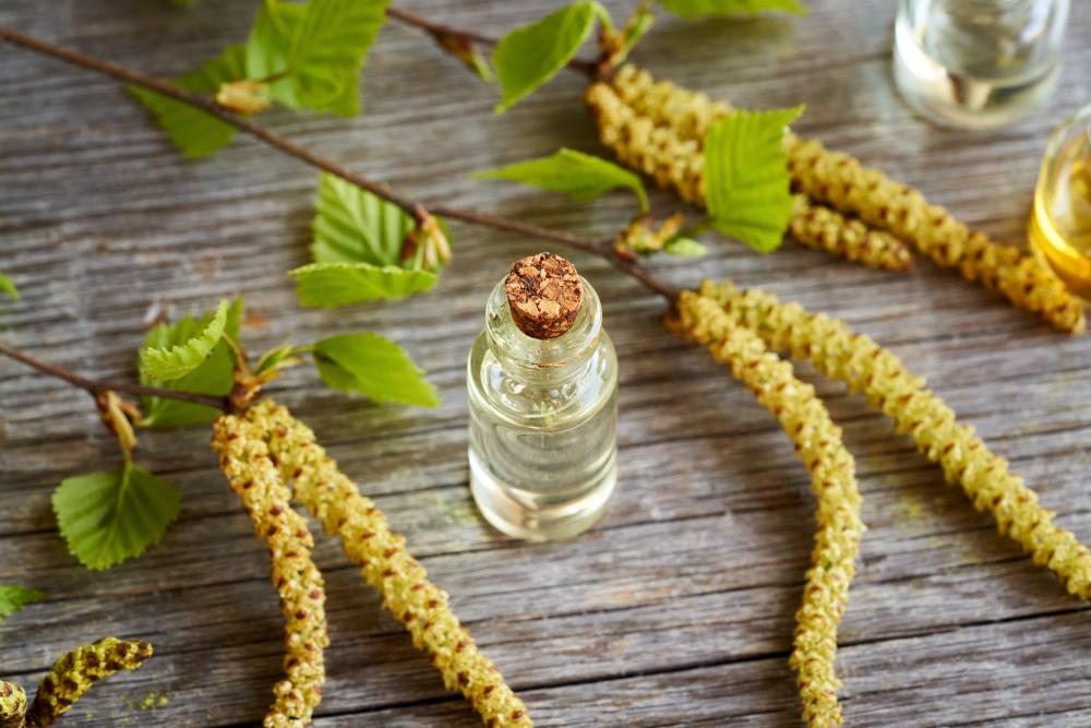Unlocking The Benefits Of Birch Essential Oil