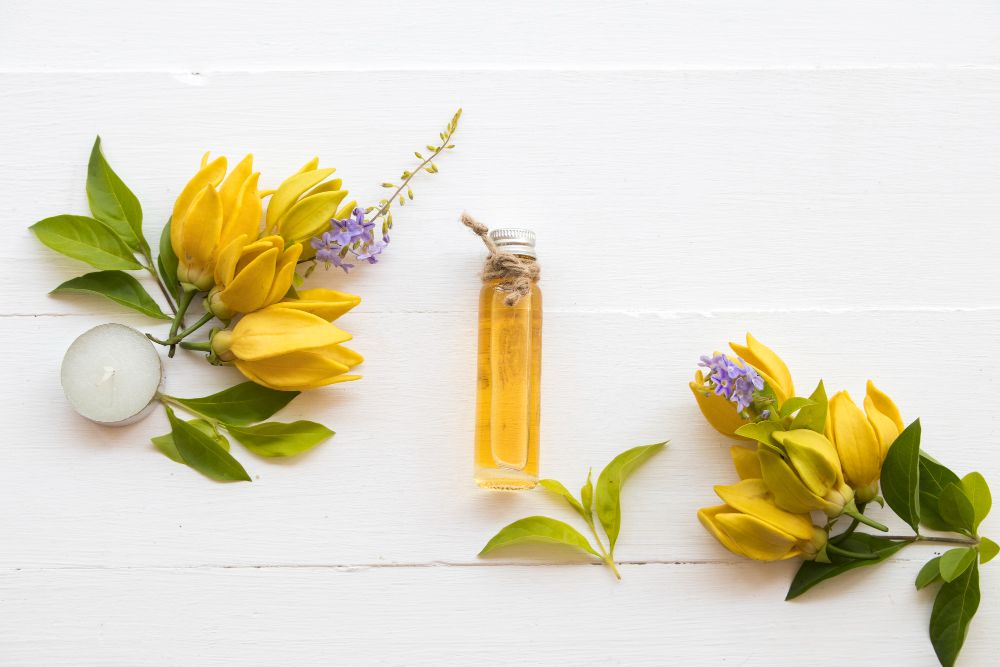 What Blends Well With Ylang Ylang Essential Oil