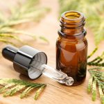 What Does Cypress Oil Smell Like?