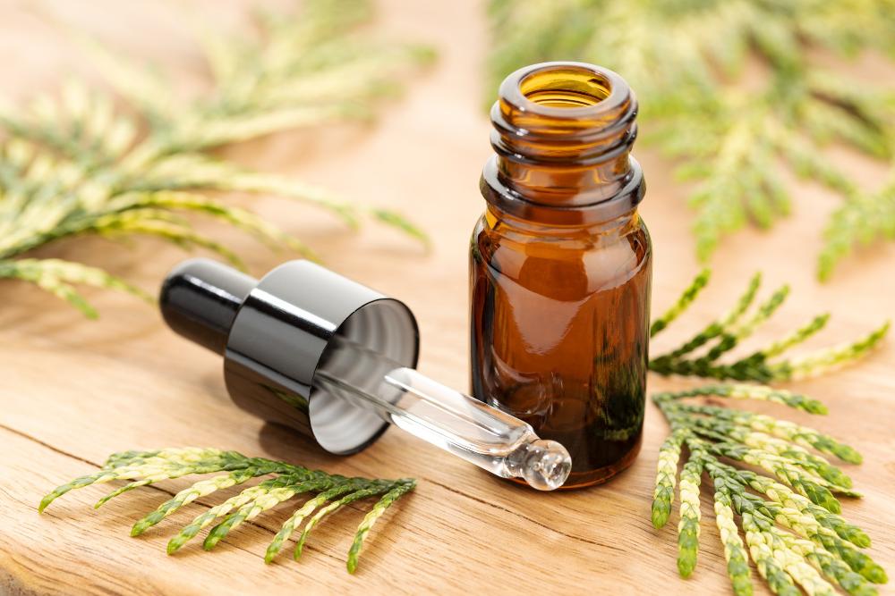 What Does Cypress Oil Smell Like?