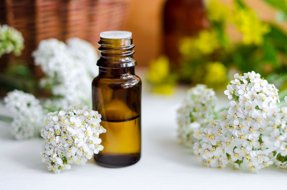 <strong>What Does Yarrow Oil Do For Your Skin?</strong>