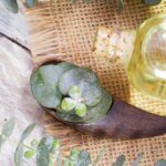 Why Adding Eucalyptus Oil To Your Shower Routine Is Worth The Hype