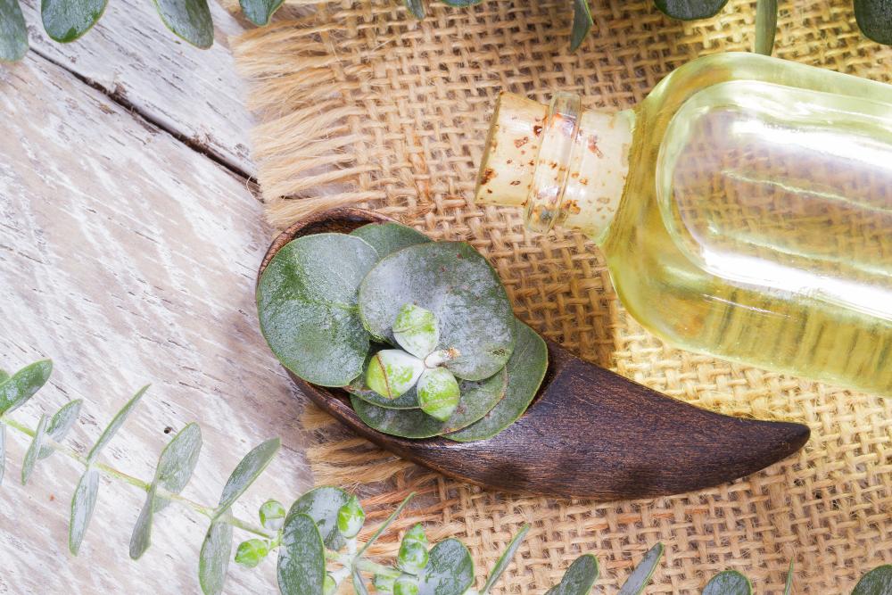 Why Adding Eucalyptus Oil To Your Shower Routine Is Worth The Hype