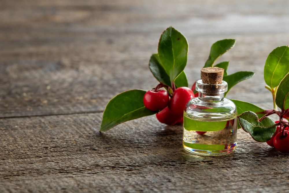 <strong><u>Wintergreen Oil For Hair: Promote Growth And Strength Naturally</u></strong>