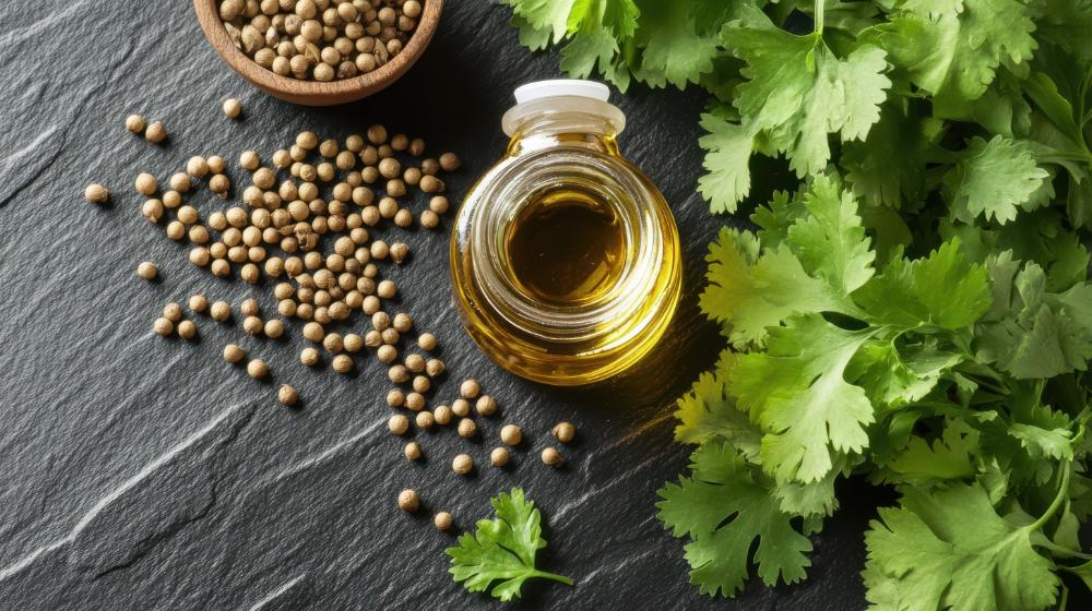 5 Coriander Oil Benefits For Overall Wellness