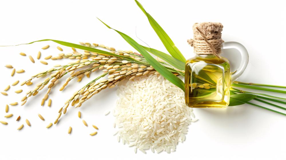 9 Rice Bran Benefits For Overall Health And Wellness