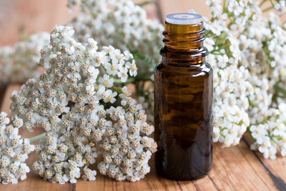 Yarrow Oil