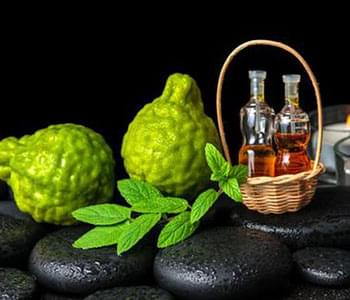 Bergamot