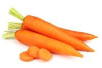 Carrot