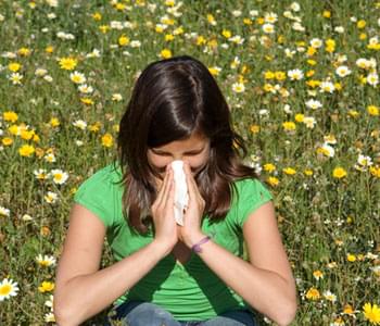 Common Causes Of Summer Allergies