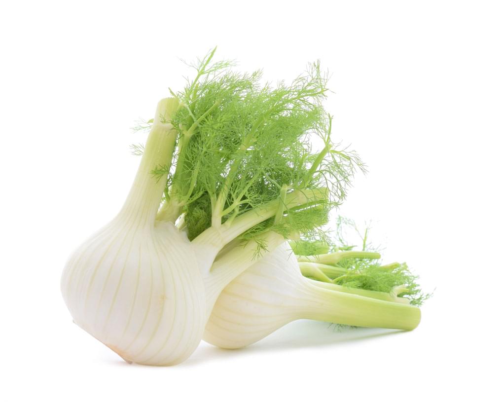 Fennel Sweet Essential Oils Guide: Benefits, Uses & Blends