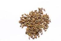 Essential Oil Ingredient Parsley Seeds