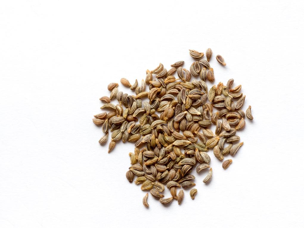 Essential Oil Ingredient Parsley Seeds