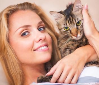 How You Can Use Essential Oils Safely Around Your Cats