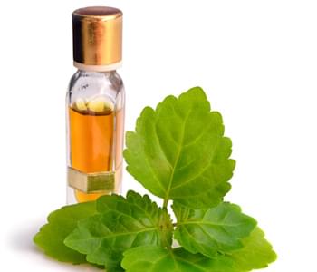 Ingredient Spotlight: Patchouli