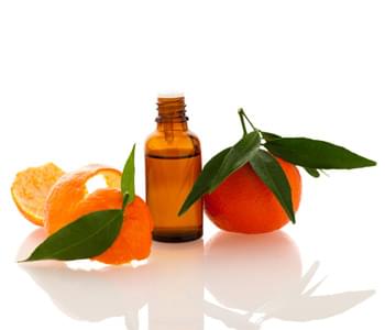 Ingredient Spotlight Sweet Orange