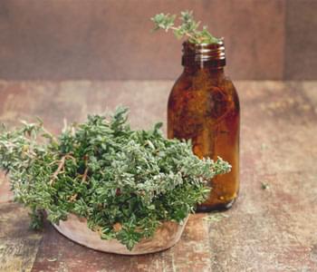 Ingredient Spotlight: Thyme