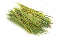 Lemongrass