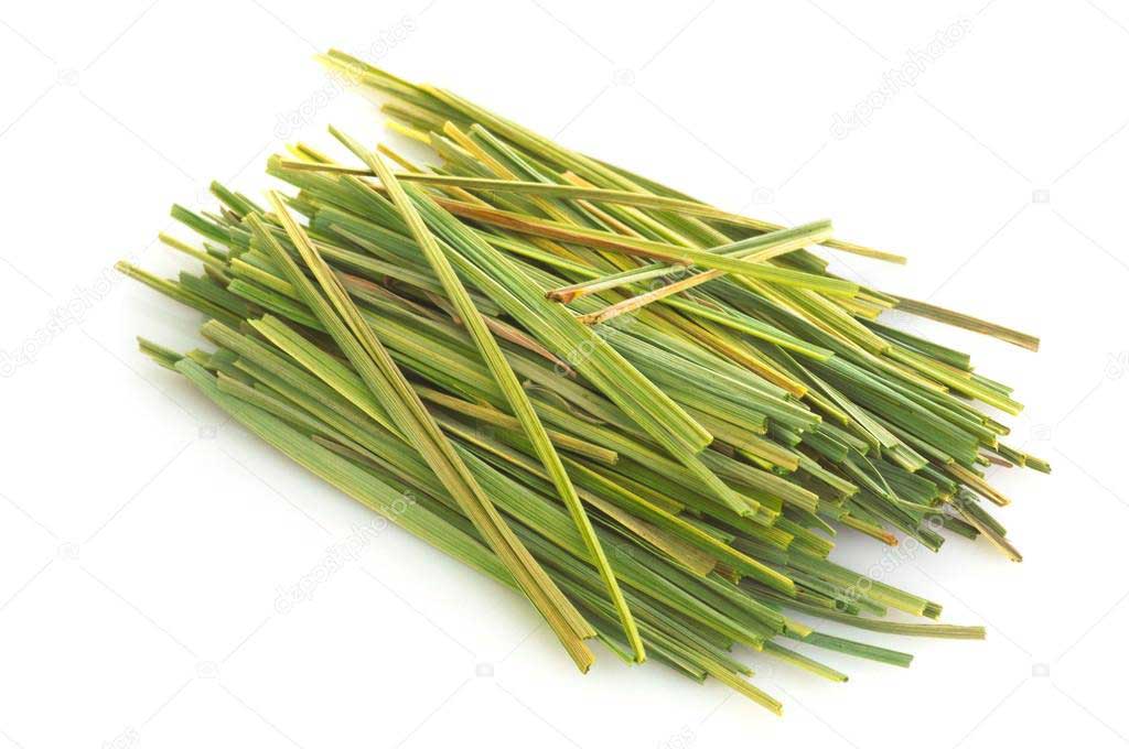 Lemongrass Essential Oil – The Complete Uses and Benefits Guide