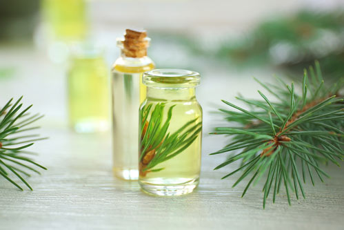 pine essential oils
